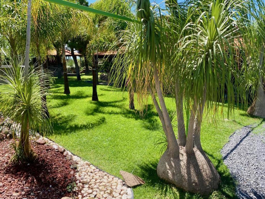 Cabana Magnolias Con Albercajacuzzi Tequisquiapan Ngoại thất bức ảnh